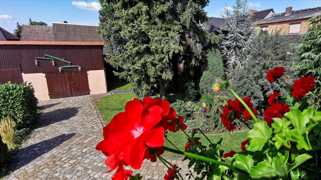 Ferienwohnungen Dirk Laurisch Radensdorf Exteriér fotografie